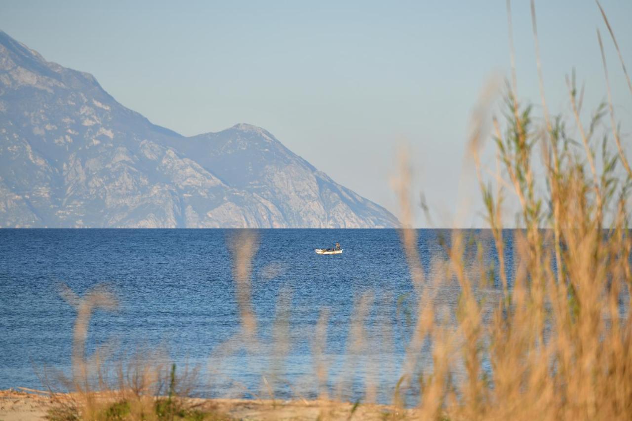 Aparthotel Stavroula'S Paradise House Sykia Zewnętrze zdjęcie