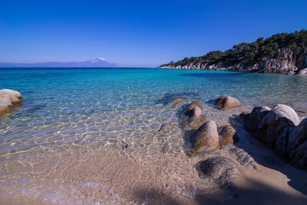 Aparthotel Stavroula'S Paradise House Sykia Zewnętrze zdjęcie